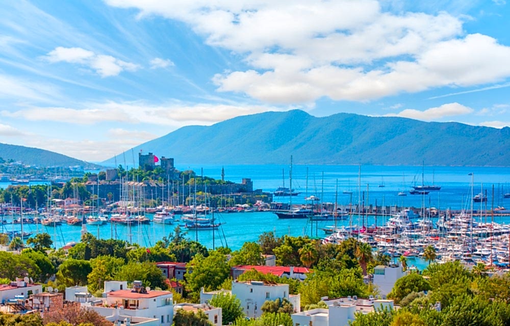 Your Listings are Automatically Published on 27 Real Estate Portals in 25 Countries